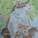 http://hanhart.vn/uploads/clbsanpham//CL27.jpg