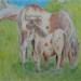http://hanhart.vn/uploads/clbsanpham//CL6.jpg