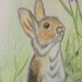 http://hanhart.vn/uploads/clbsanpham//CL28.jpg