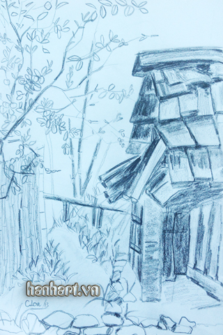 image113