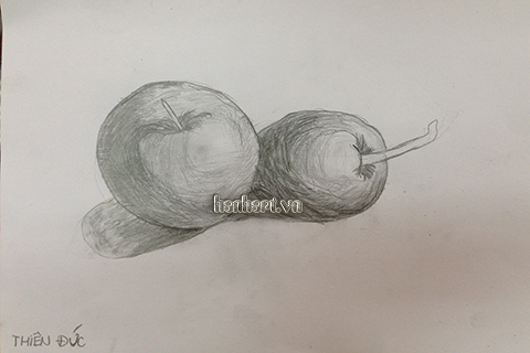 image633