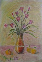 image305