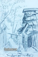 image113