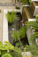 image121
